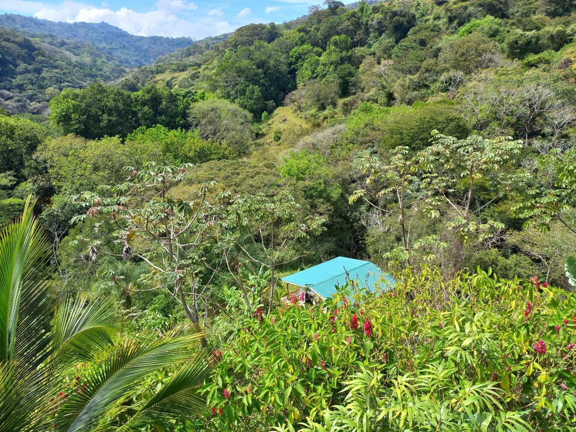 Naranjo  Casa El Colibri 빌라 외부 사진