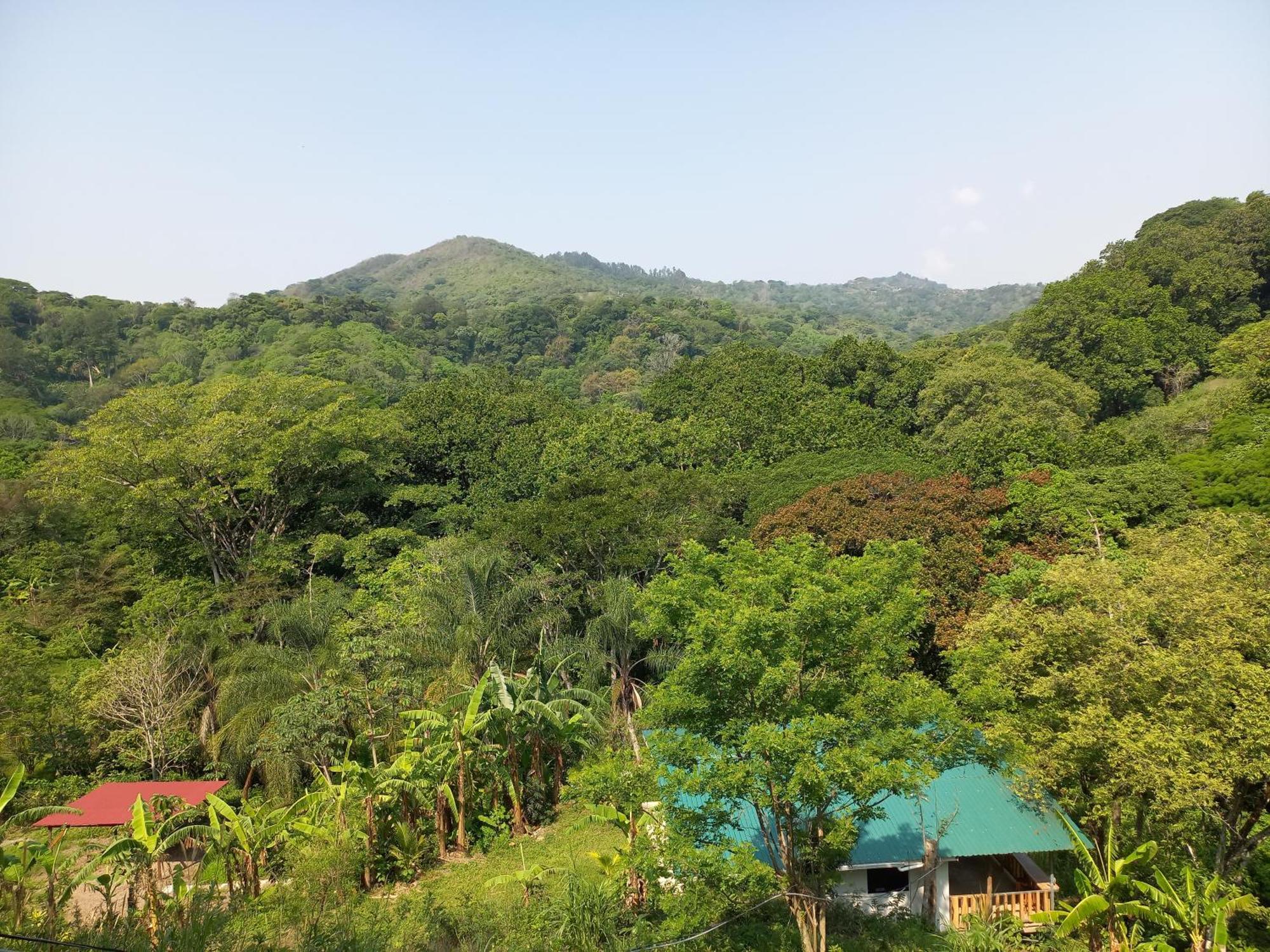 Naranjo  Casa El Colibri 빌라 외부 사진